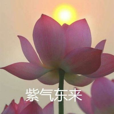 龙虎榜 | 章盟主超8亿杀入立讯精密，炒股养家、温州帮联手爆买融捷股份